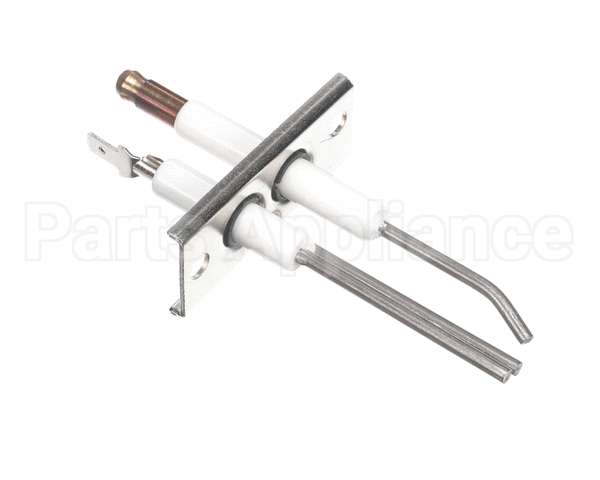 9875-002-003 Dexter Electrode