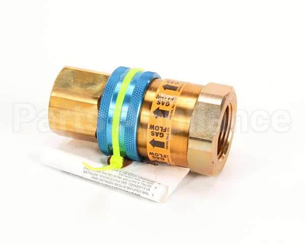 A100 Dormont 1" Snapfast Quick Disconnect