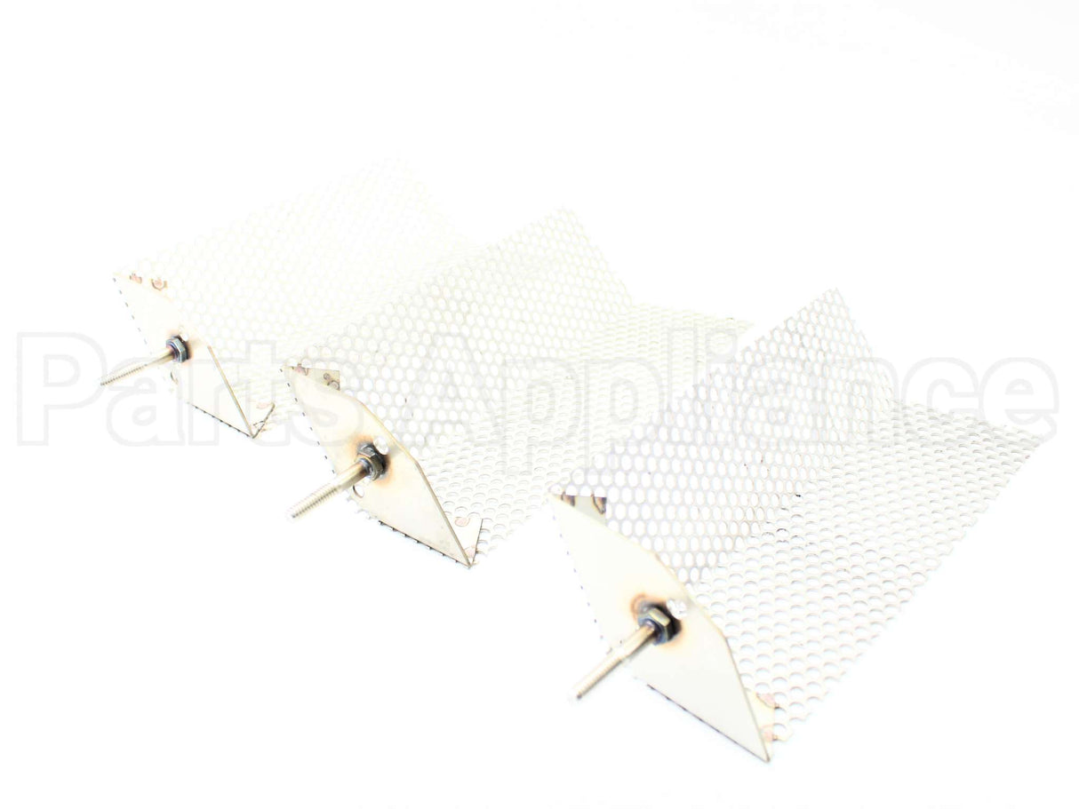 A10077 Armstrong International Electrode