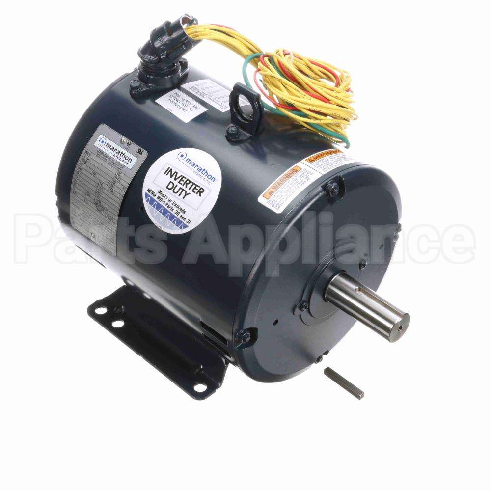 A302 Fasco Motor