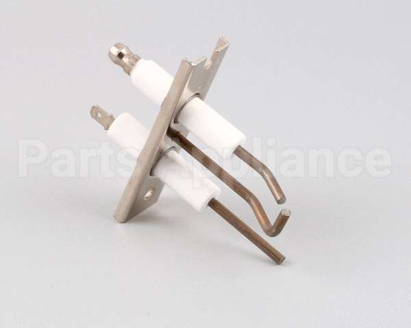 AT1E-3795 Accutemp Electrode Assembly - Evolution Gas