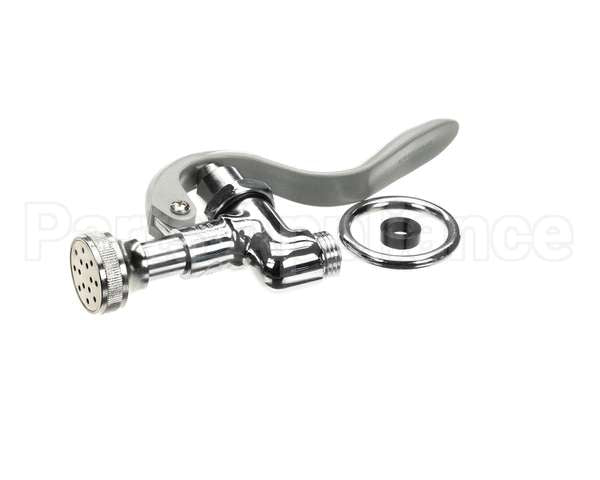 B-0107-B T&S Brass Spray Valve Unit With Rose Spray Aerator