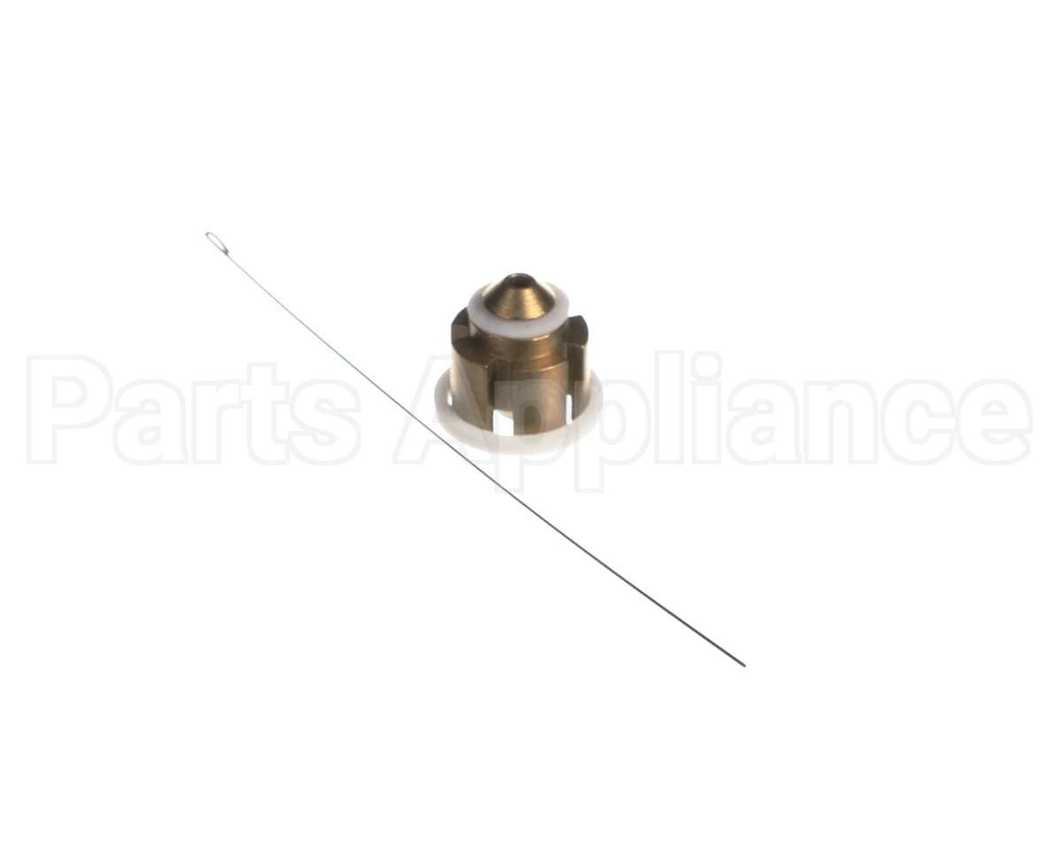 B1789874 Goodman Flow Check Piston