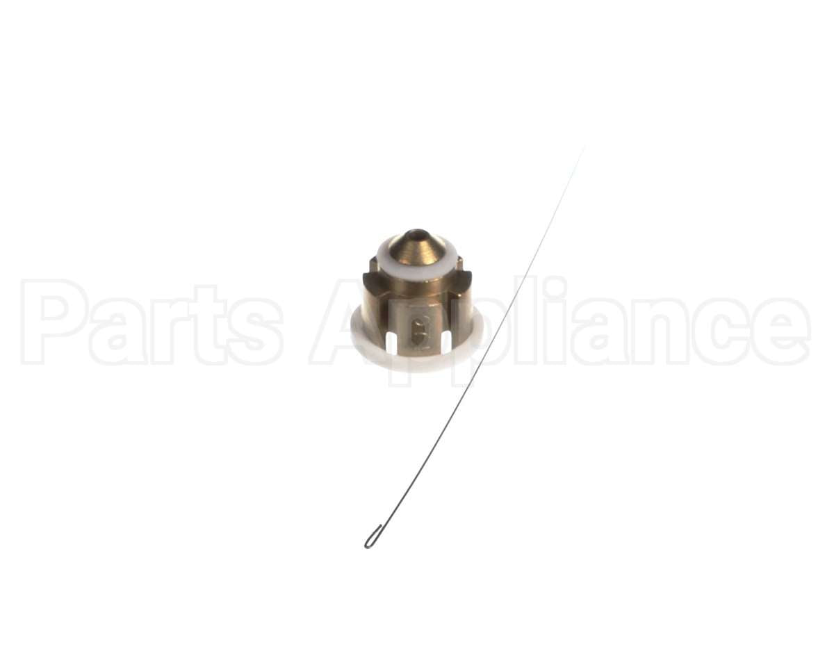 B1789874 Goodman Flow Check Piston