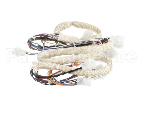 B6781501 Pitco Wiring,Spinal Tap Lwr Srtg