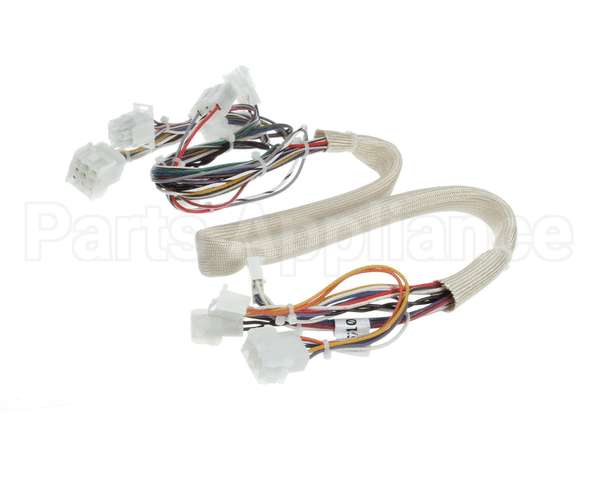 B6788101 Pitco Wiring,Spinal Tap Sspg