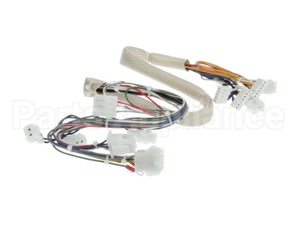 B6788101 Pitco Wiring,Spinal Tap Sspg