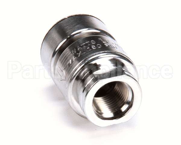 BL-5550-09 T&S Brass Vacuum Breaker, Anti-Siphon, 3/8 Npt Mal