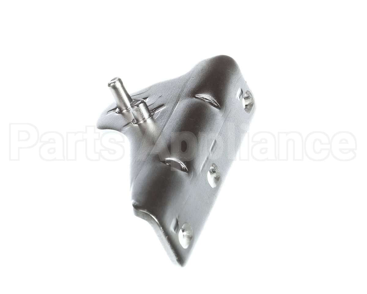 DHG17-00 Everest Right Top Hinge For Esg