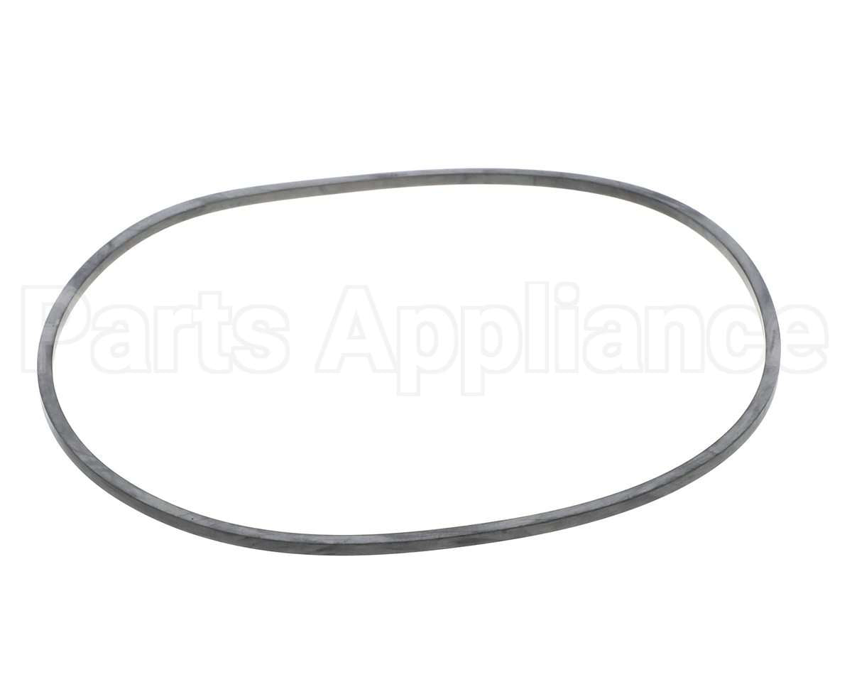 EV094400 Everpure Gasket Sq. Cut T-9/20