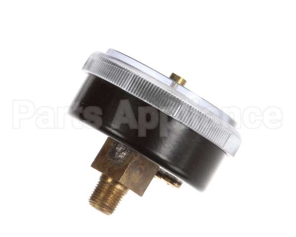 EV306818 Everpure Back Mnt Brass Gauge 0-125 Psi