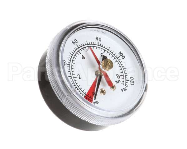 EV306818 Everpure Back Mnt Brass Gauge 0-125 Psi