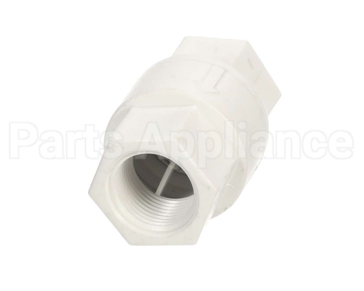 EV311450 Everpure Valve,Check, 3/4 Npt Female