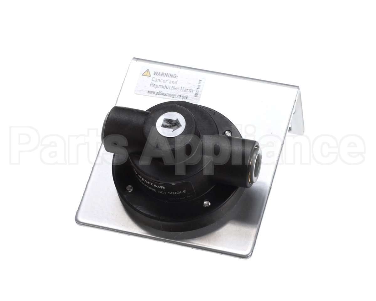 EV925617 Everpure Ql1 Head