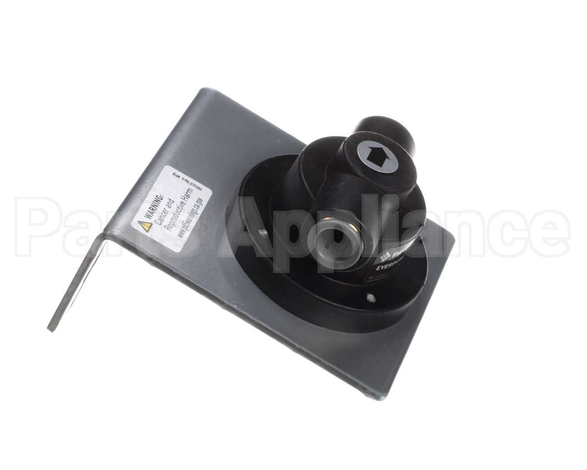 EV925617 Everpure Ql1 Head