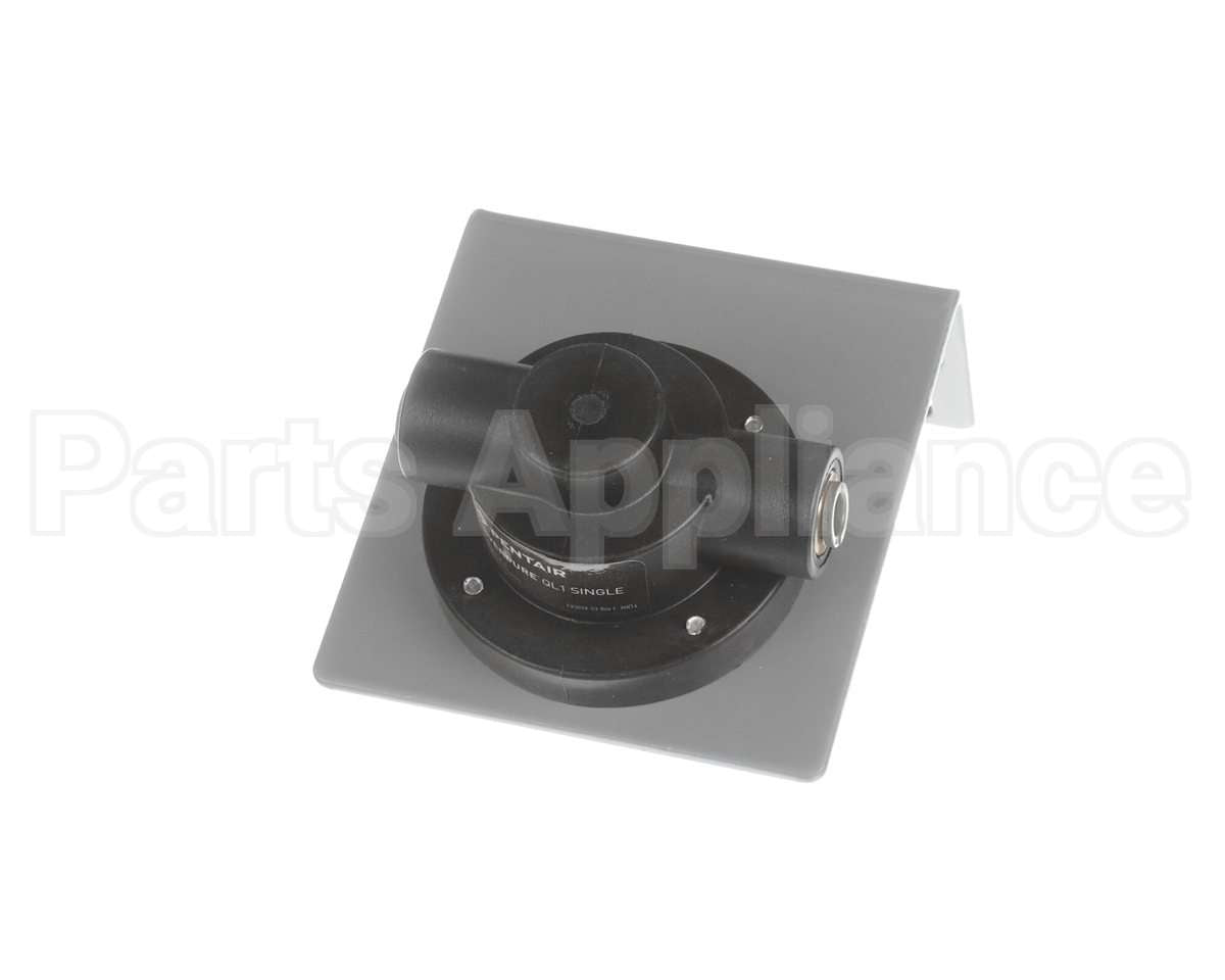 EV925620 Everpure Ql1 Head With 1/4 Jg