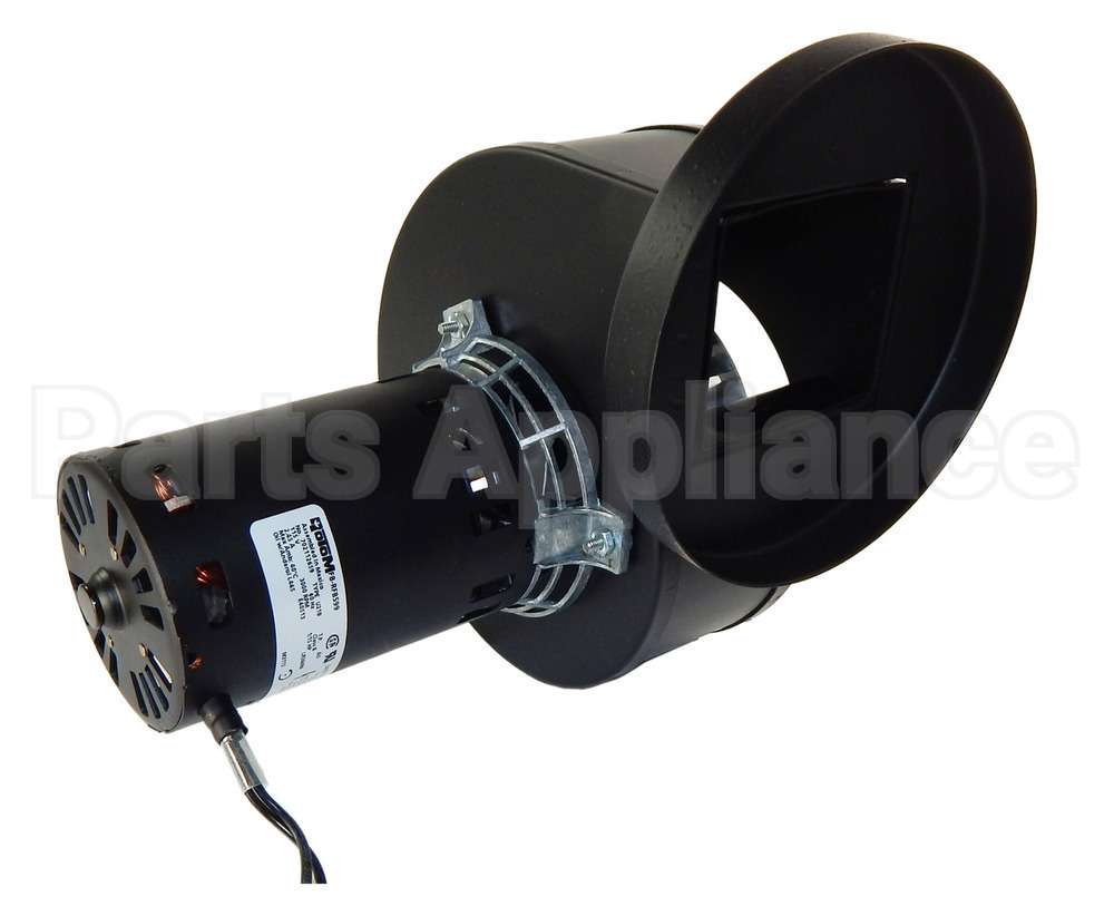 FB-RFB599 Rotom Motors