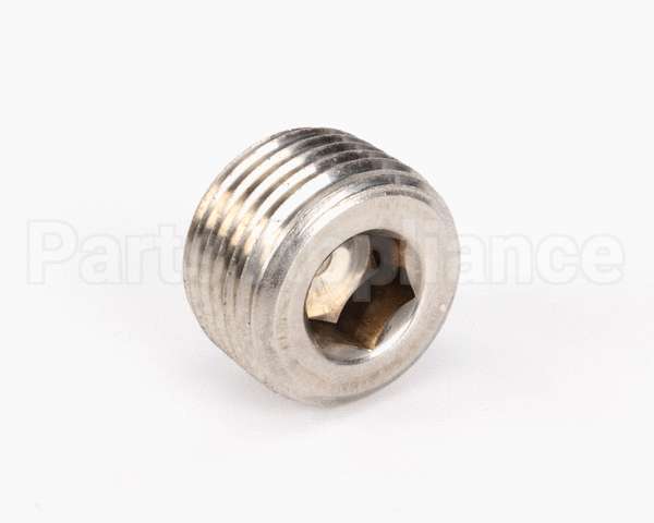 FP01-004 Henny Penny Plug Pipe 1/2 Hex Soc Ss