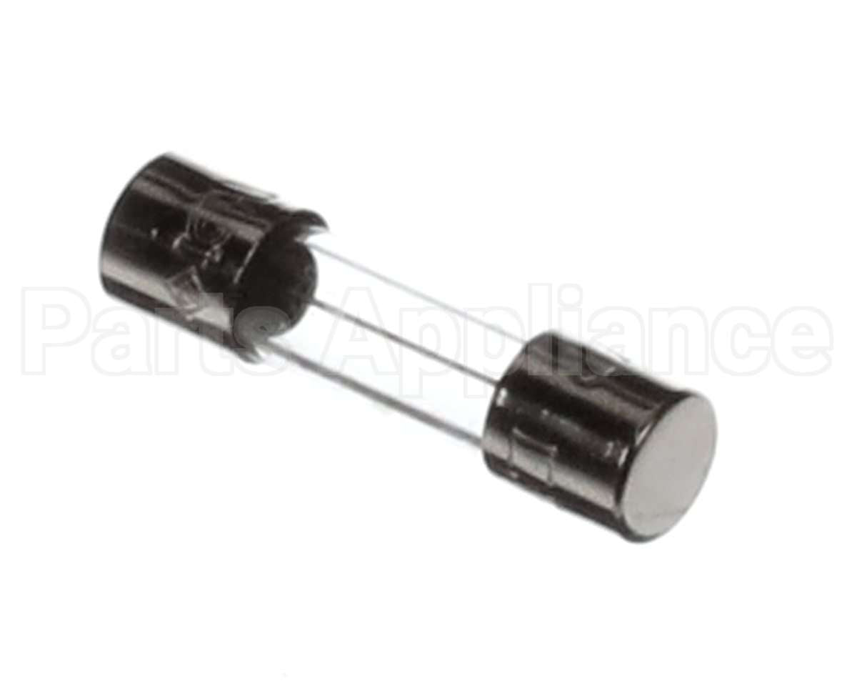 FU-34955 Alto Shaam Fuse,250V,10A Fast Acting,