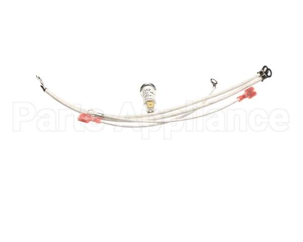 G2-156111 Star Pilot Light Assem