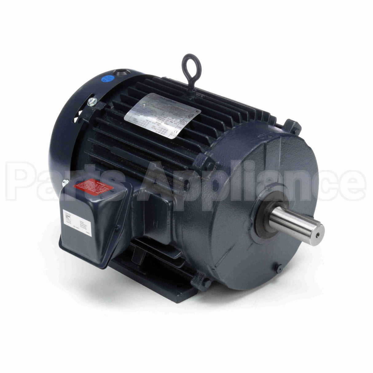 GT1019A Marathon Motor