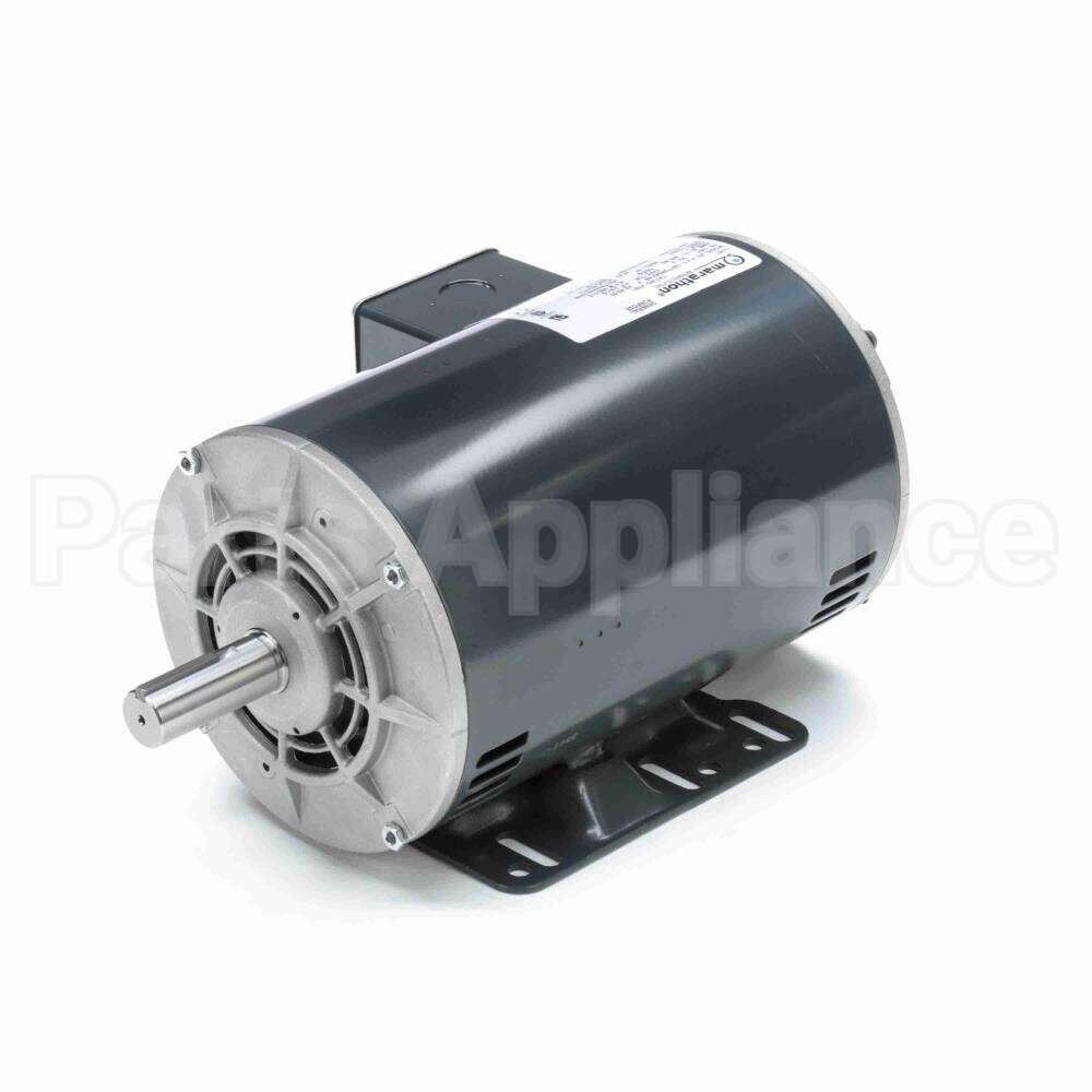 H181 Marathon Motor