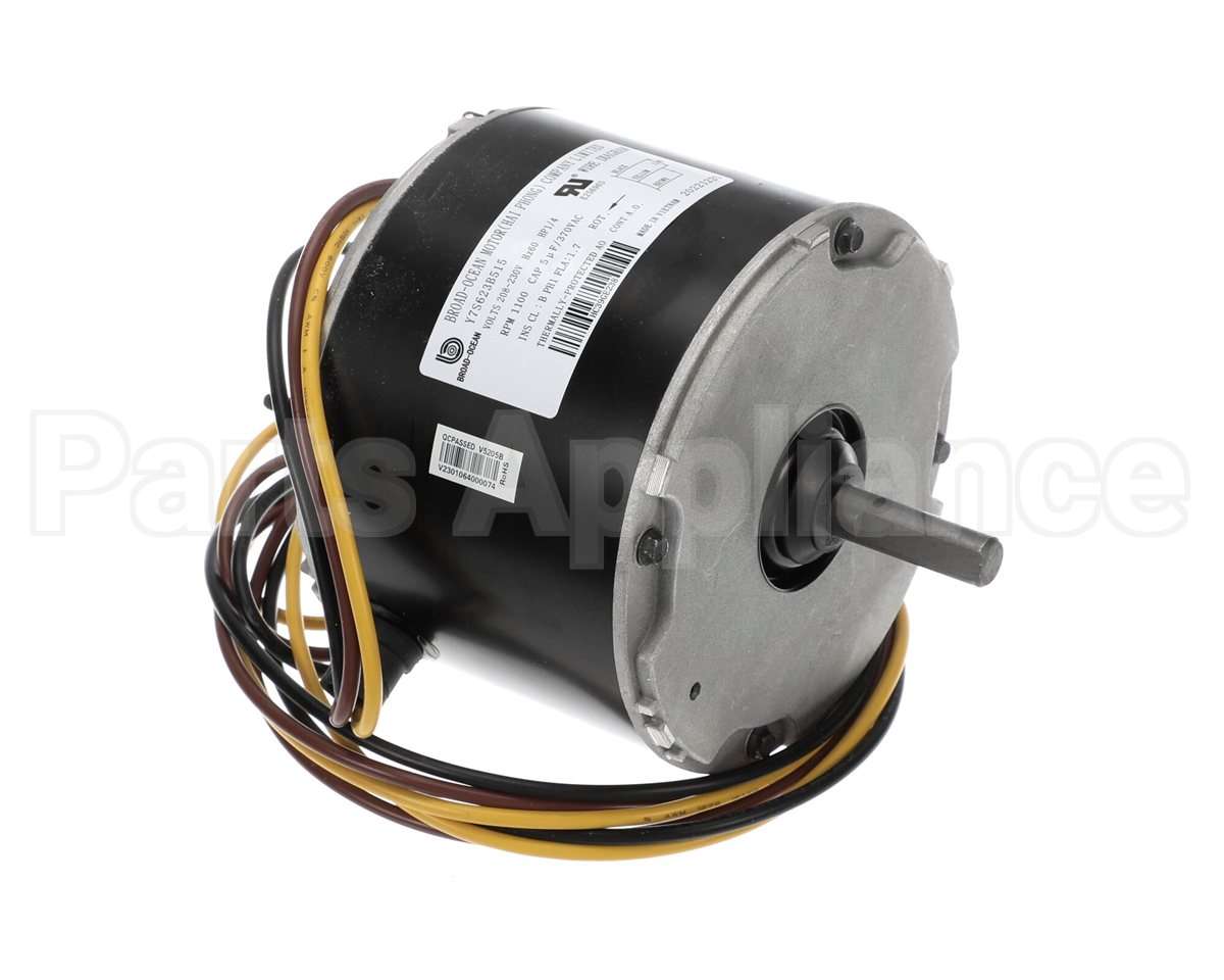 HC39GE238 Bryant Payne Motor