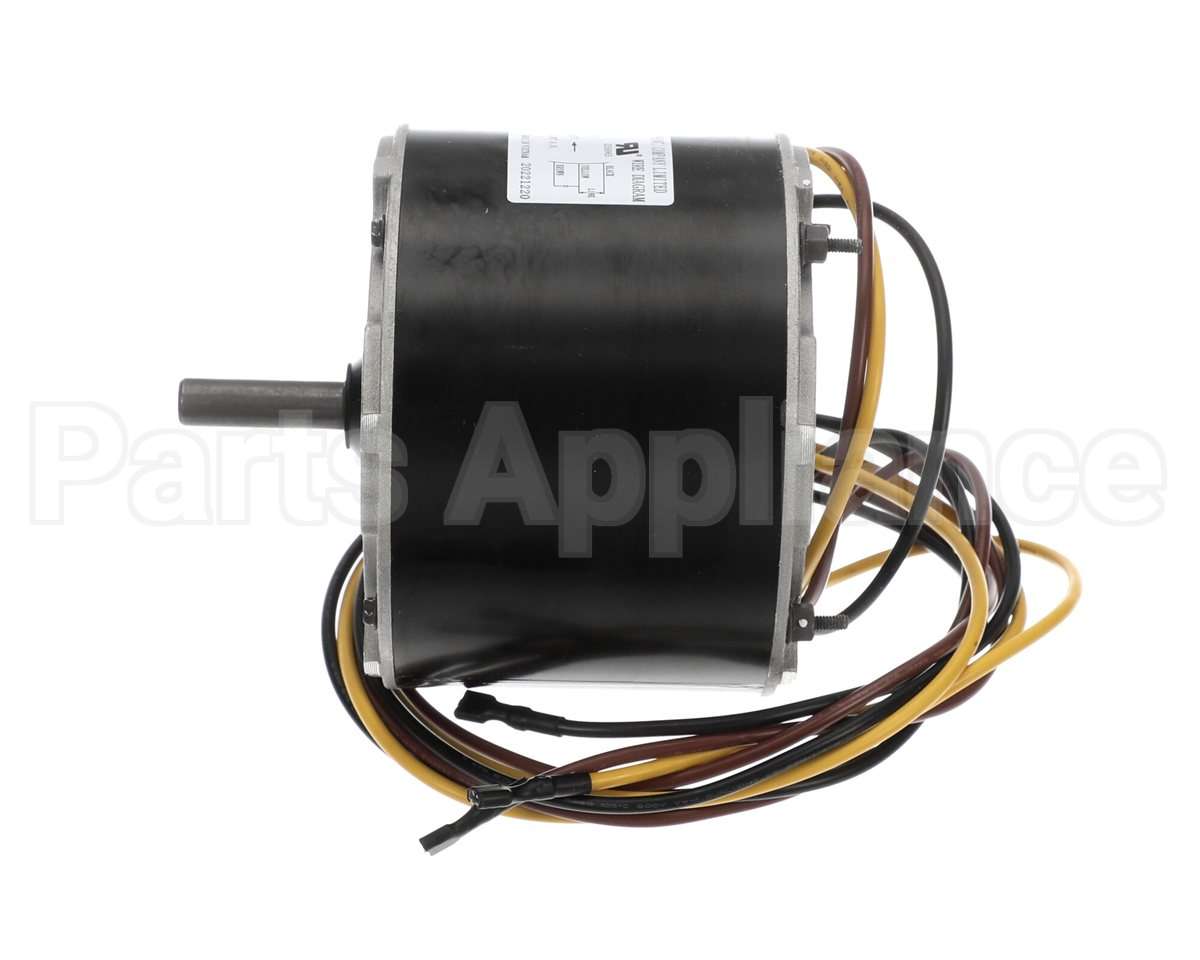 HC39GE238 Bryant Payne Motor