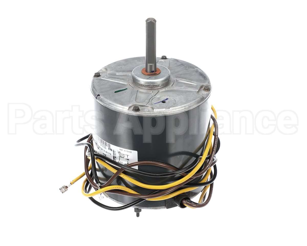 HC39GE239 Bryant Payne Motor