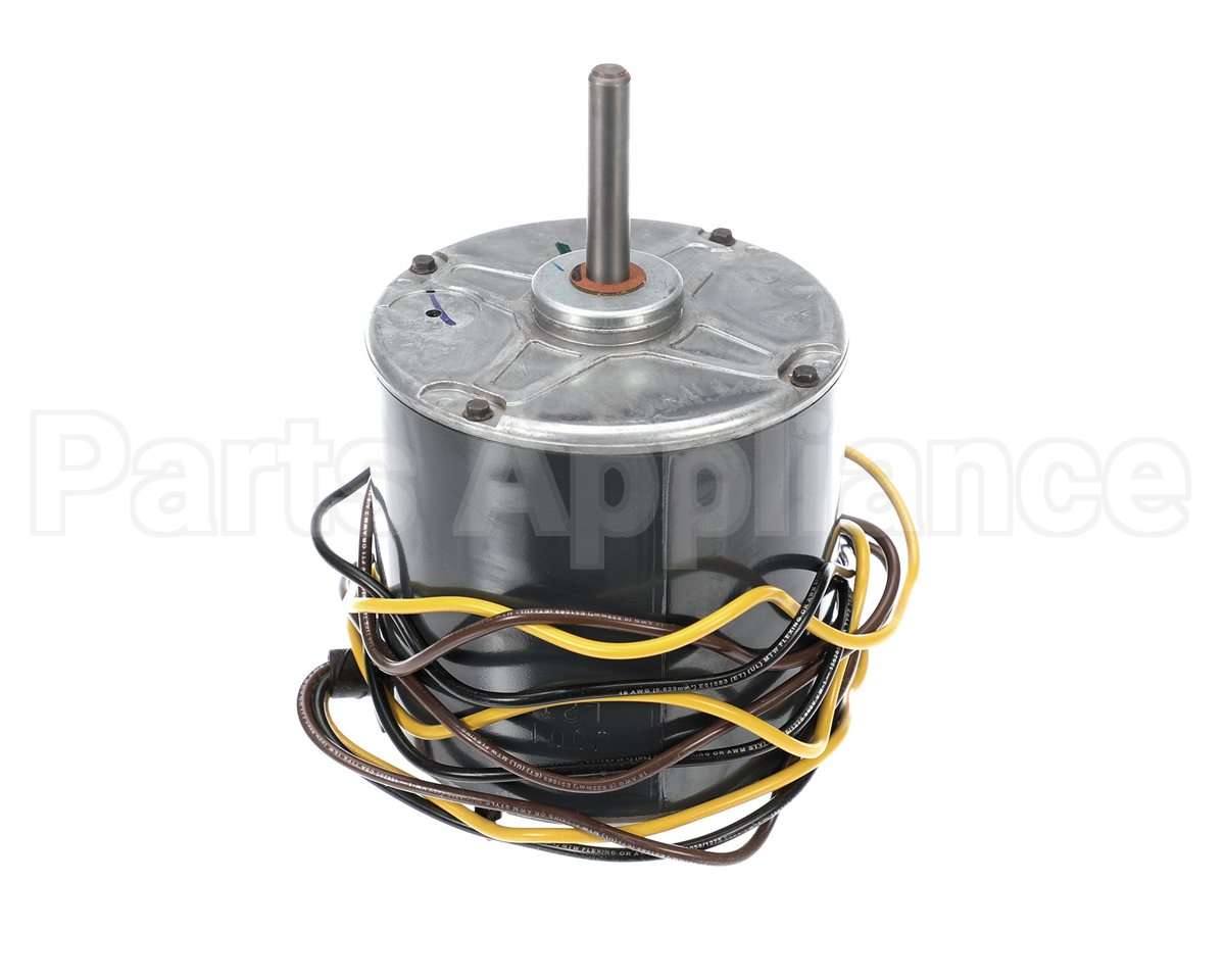 HC39GE239 Bryant Payne Motor