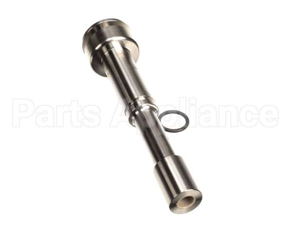 IC118-013381 Carpigiani Assembly Plunger Dispense
