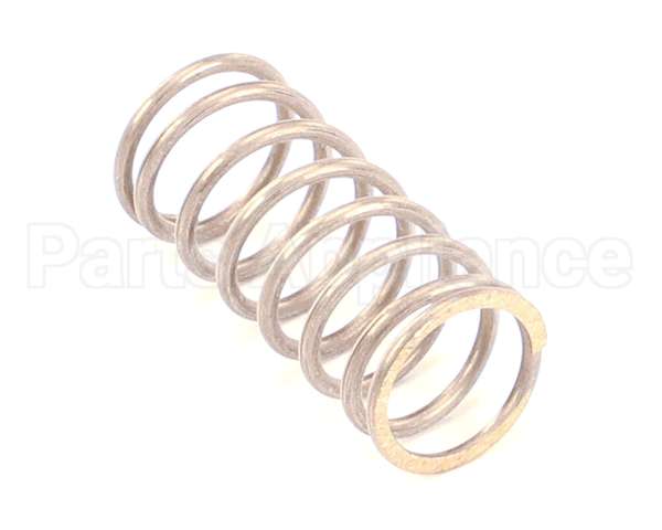 IC178100900 Carpigiani Single Spring C I