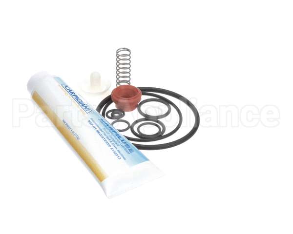 IC193-010082 Carpigiani Tune Up Kit