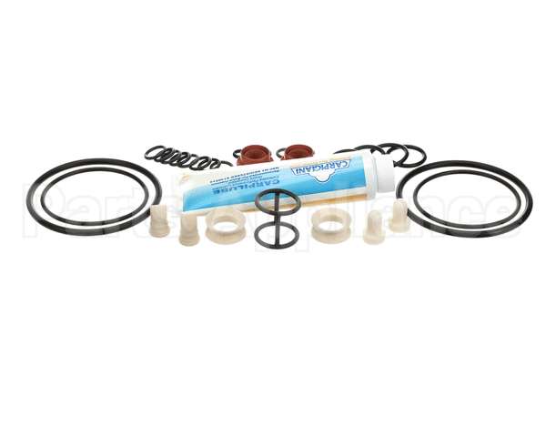 ICA5555750 Carpigiani Tune Up Kit Minor Uc1131P