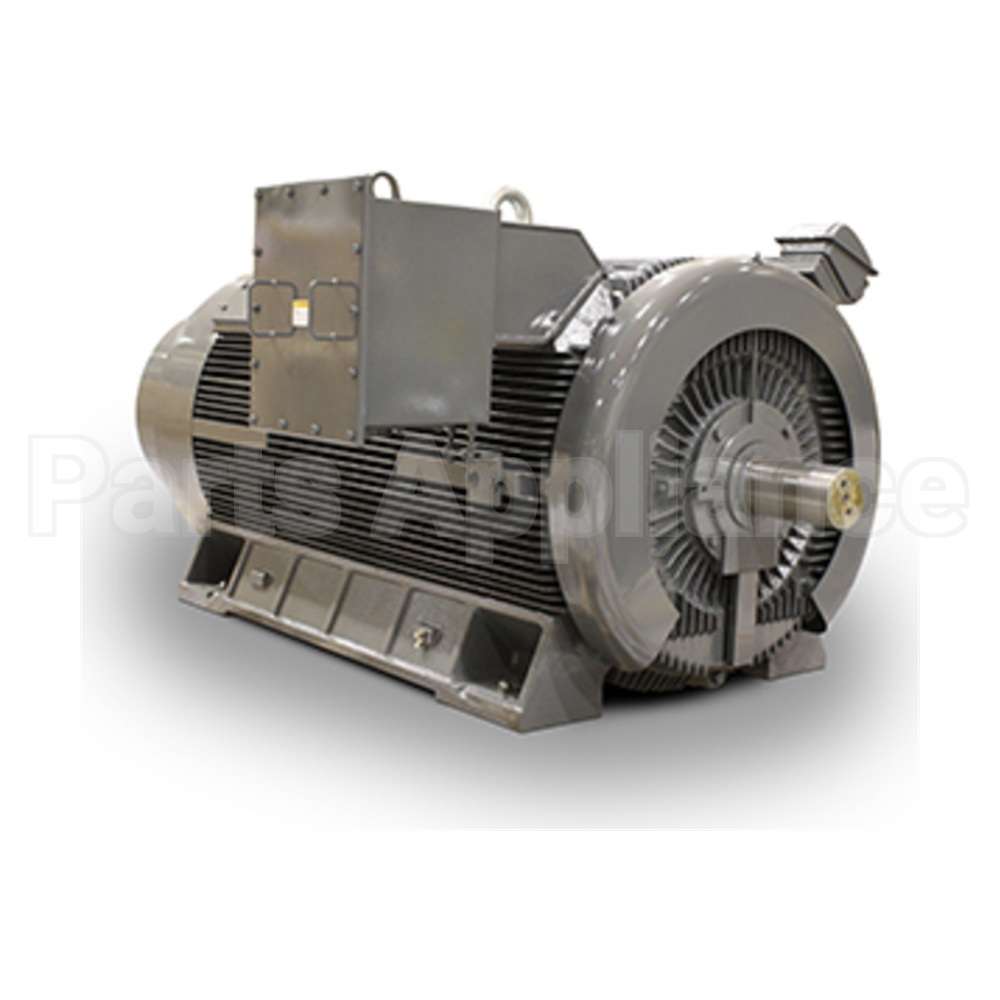 JH08008 Teco Medium Voltage Motor