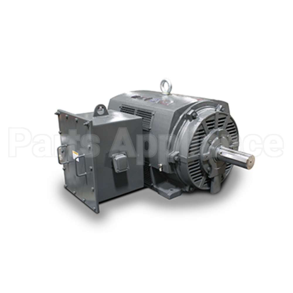 JH12504 Teco Medium Voltage Motor