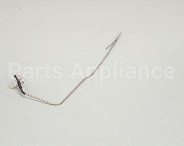 K9-41100-24 Lang Probe - Electronic #1517