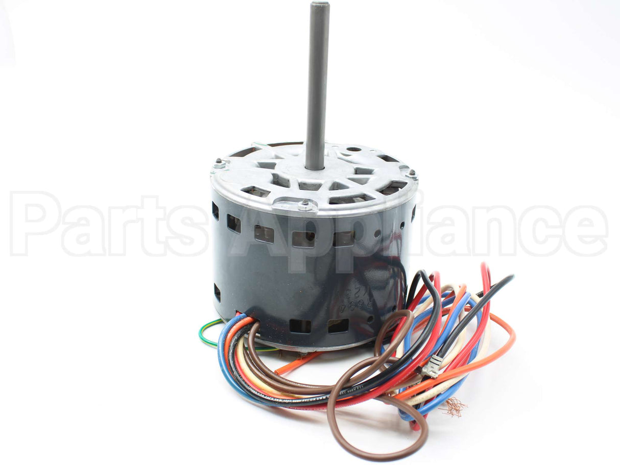 M182 First Company Motor 1/3 Hp (4Spd)