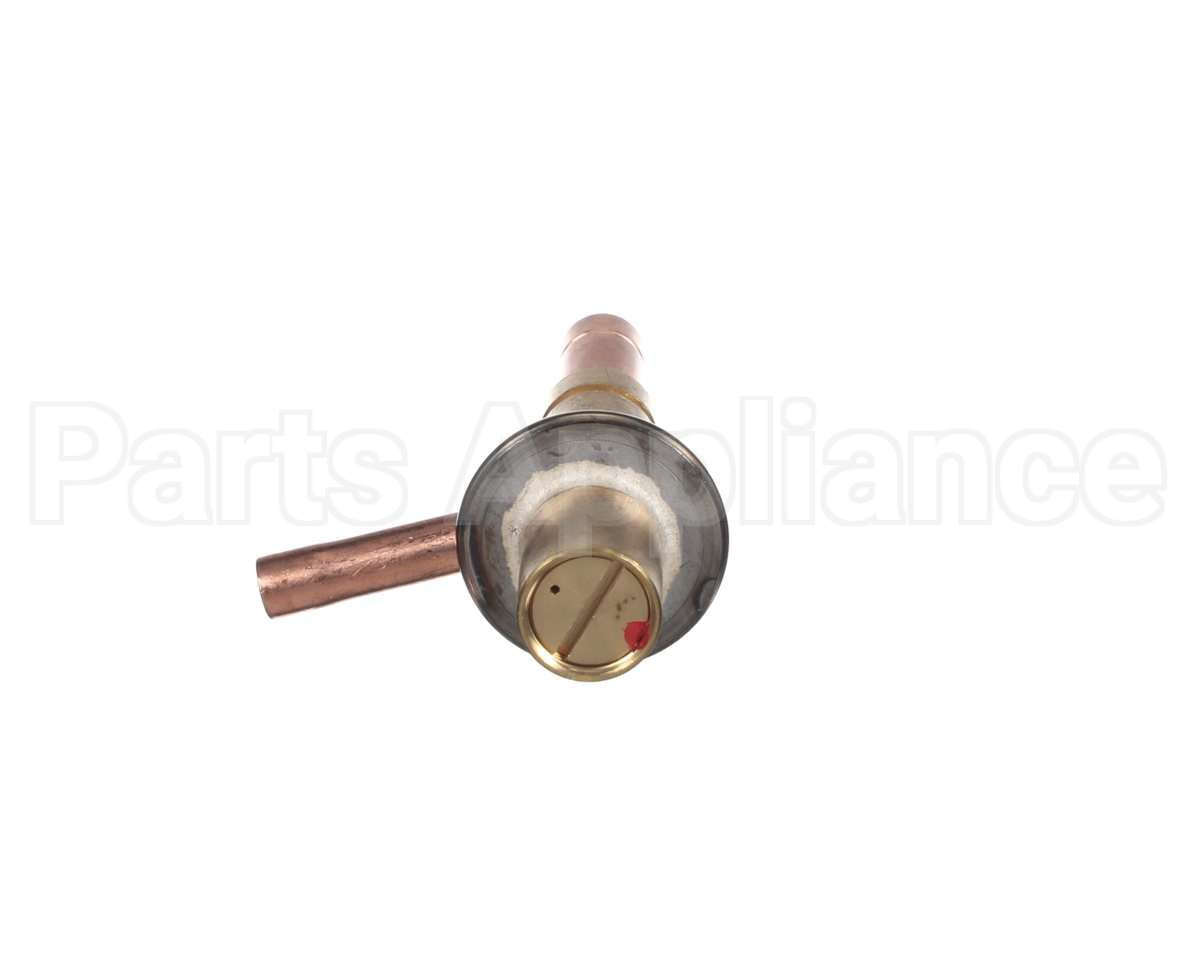 P04945-01 Hoshizakitxv Valve