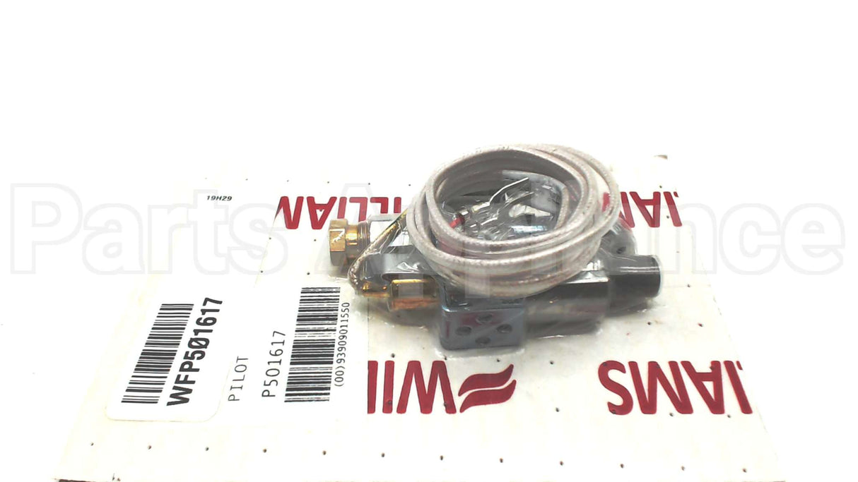 P501617 Williams Comfort Products Pilot Assembly