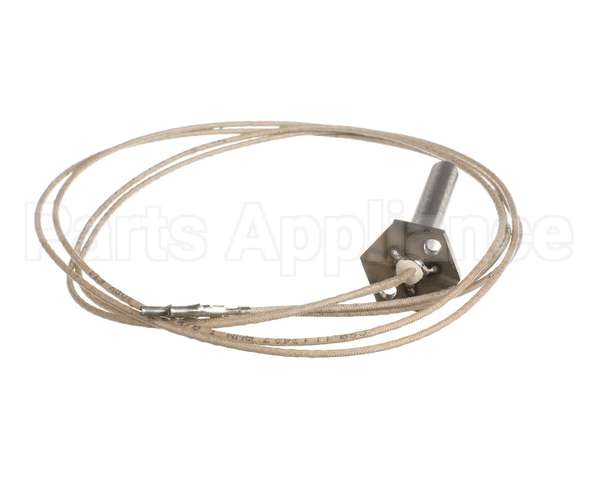 PA045 Cookshack Igniter
