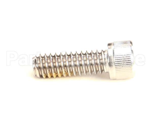 R11105 Blodgett Screw,Cap 1/4-20 X .75 Skthd