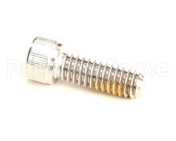 R11105 Blodgett Screw,Cap 1/4-20 X .75 Skthd