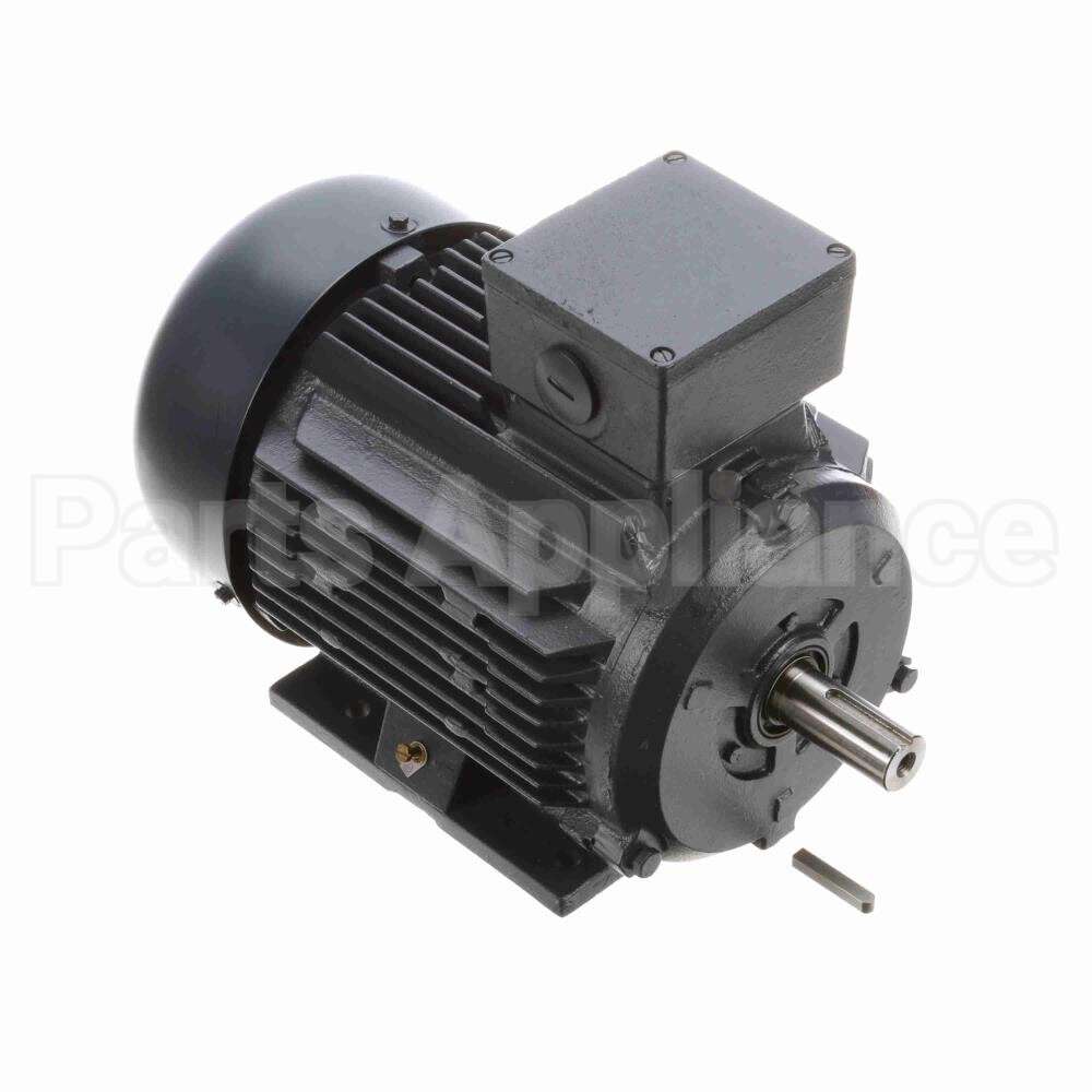 R317A Marathon Motor