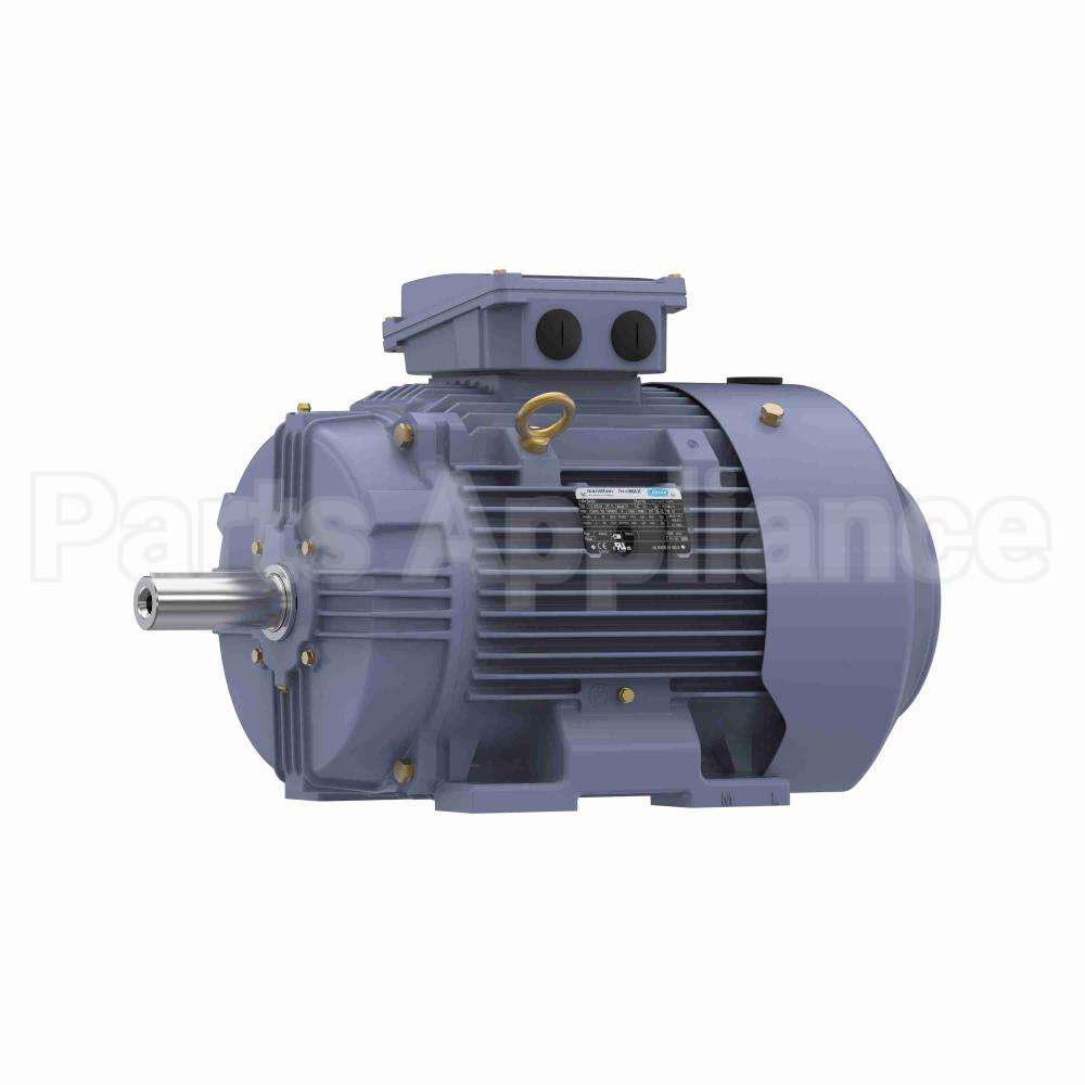 R333B Marathon Motor
