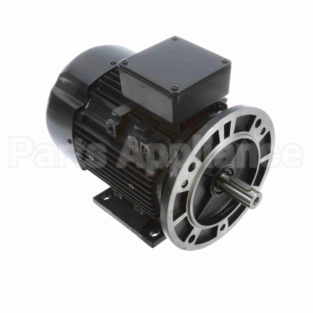 R394A Marathon Motor