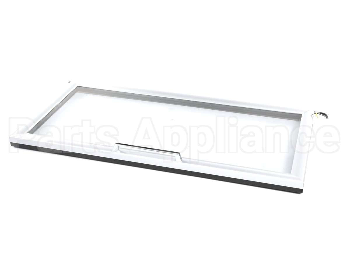R8172-670 Maxx Cold Glass Door Assembly L