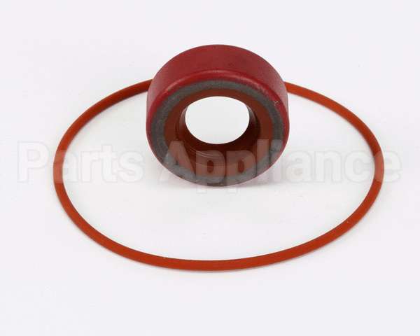 RK0004 Bki Repair Kit, Haight Pump