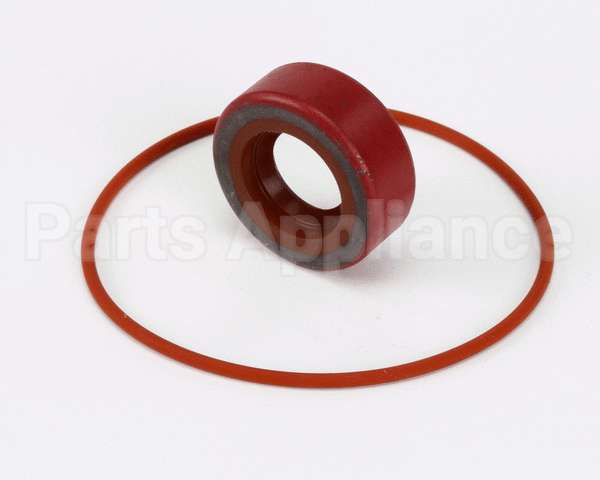 RK0004 Bki Repair Kit, Haight Pump