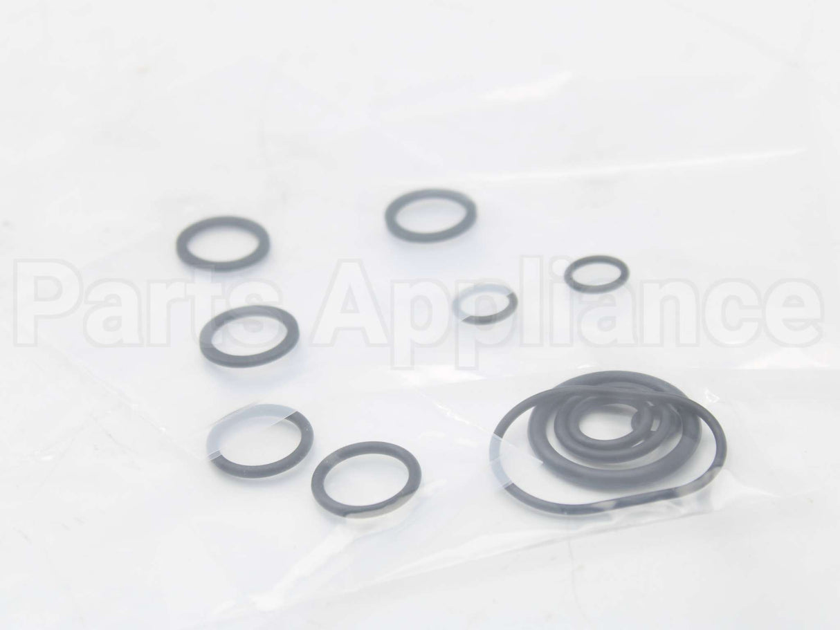 RTG20206 Rheem-Ruud Oring Kit Palona